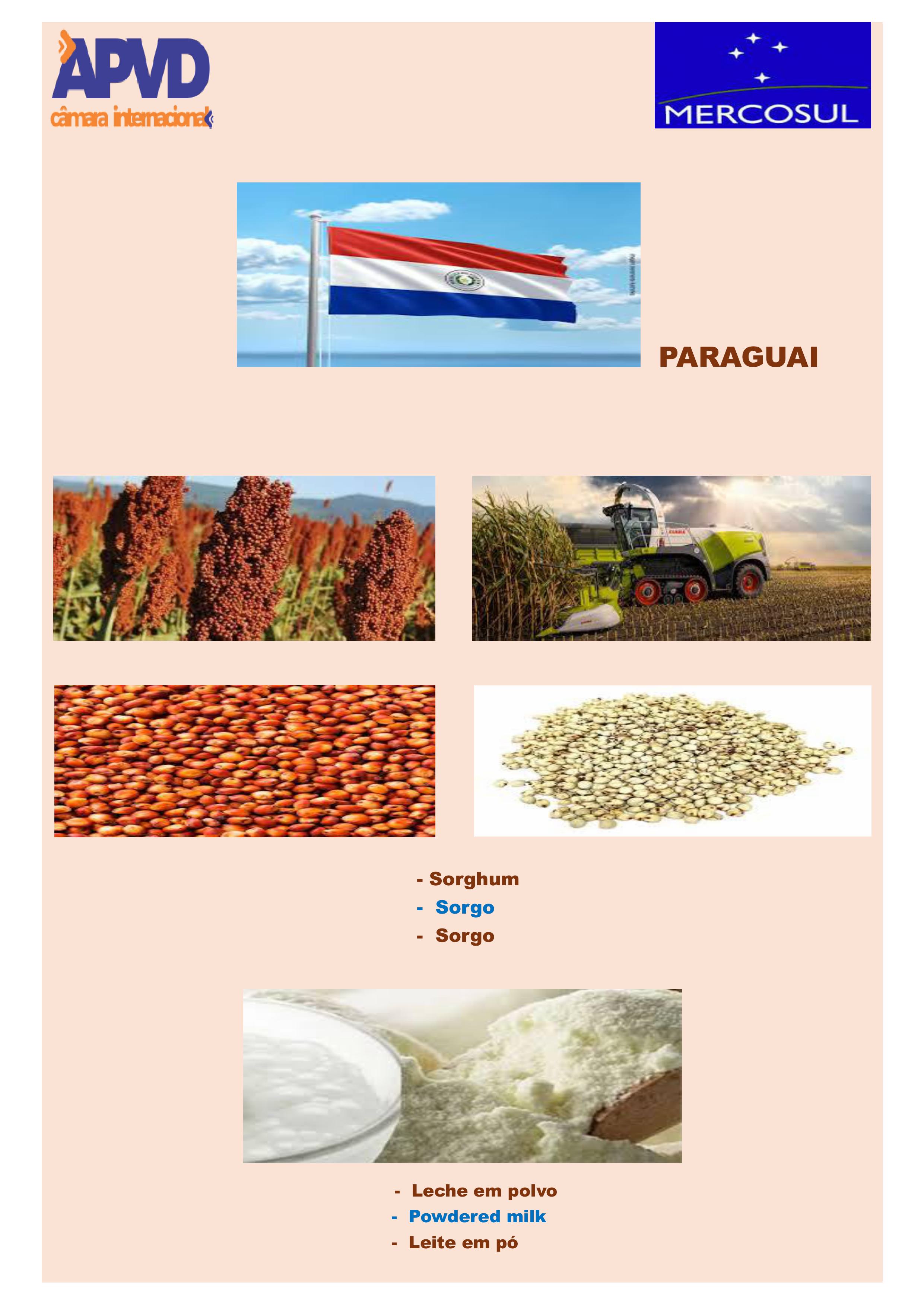 CAT+üLOGO PRODUTOS MERCOSUL pdf -imagens-3.jpg