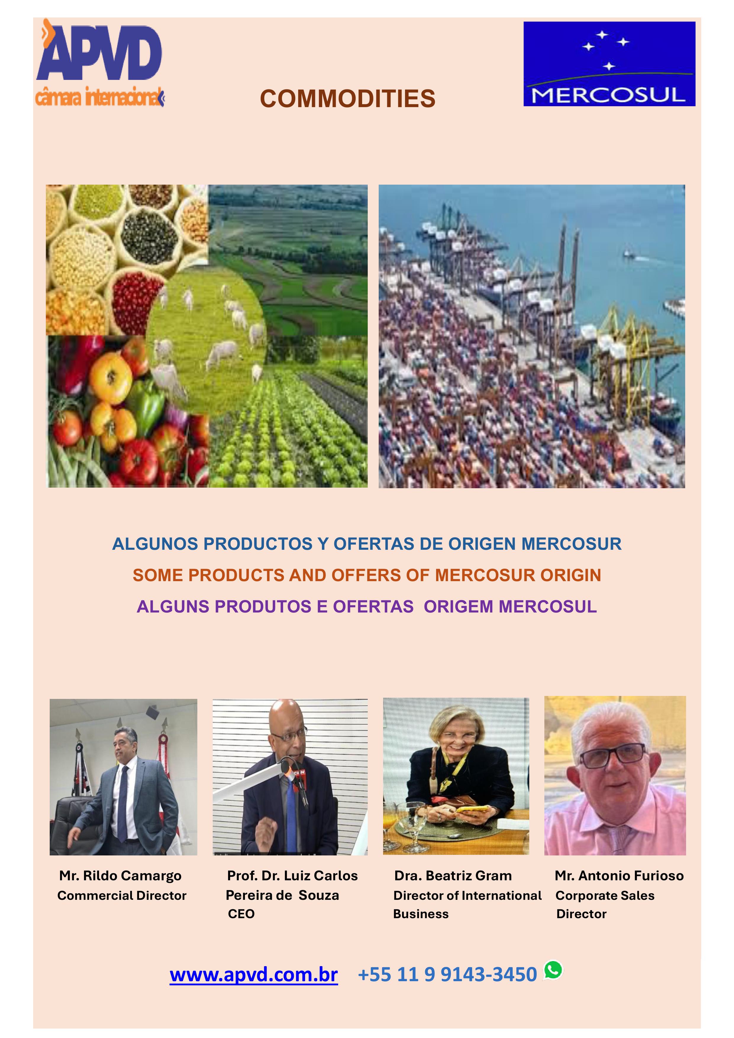 CAT+üLOGO PRODUTOS MERCOSUL pdf -imagens-0.jpg