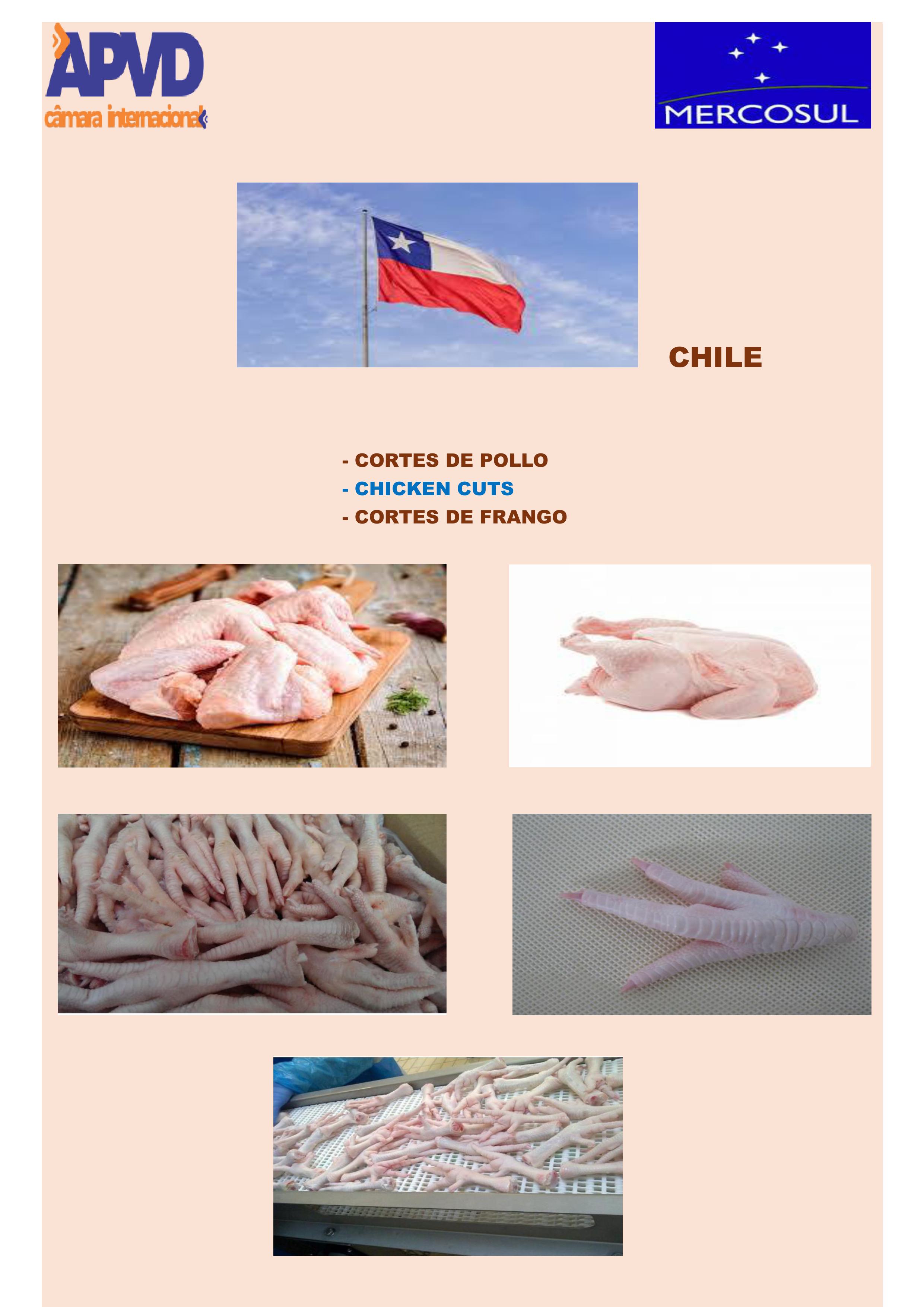 CAT├üLOGO PRODUTOS MERCOSUL pdf -imagens-2.jpg